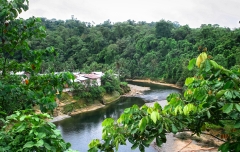 The town of Wimbi sits among dense jungle in a very remote spot in northwest Ecuador, accessible only by boat.