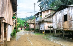 Traditional houses, built on stilts to prevent flood damage, in the town of Playa de Oro, northwest Ecuador.